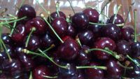 Cherry Chile thùng 3KG