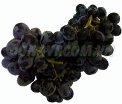 Nho đen không hạt Nam Phi