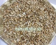 Hạt bí nếp rang đặc sản Sơn La