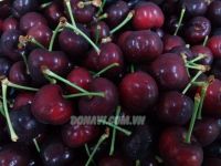 Cherry Newzealand