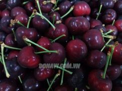 Cherry Newzealand