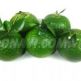 Cam-sanh-Ben-Tre-loai-dac-biet