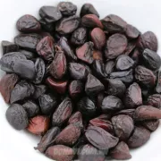 Hạt dổi