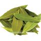 la-nguyet-que-vn