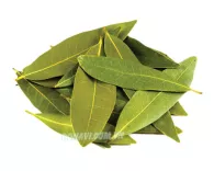 Lá nguyệt quế