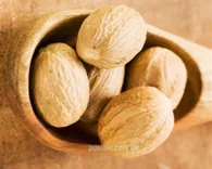 Nhục đậu khấu