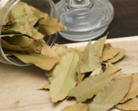 Lá nguyệt quế - Bay leaves