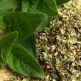 La-Oregano