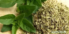 Lá Oregano khô Rubbed