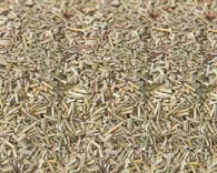 Lá húng tây - Thyme Rubbed