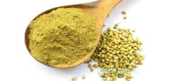 Bột ngò - Coriander