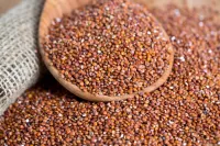Hạt diêm mạch đỏ (Red quinoa)