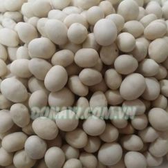 Hạt đậu rang sữa dừa