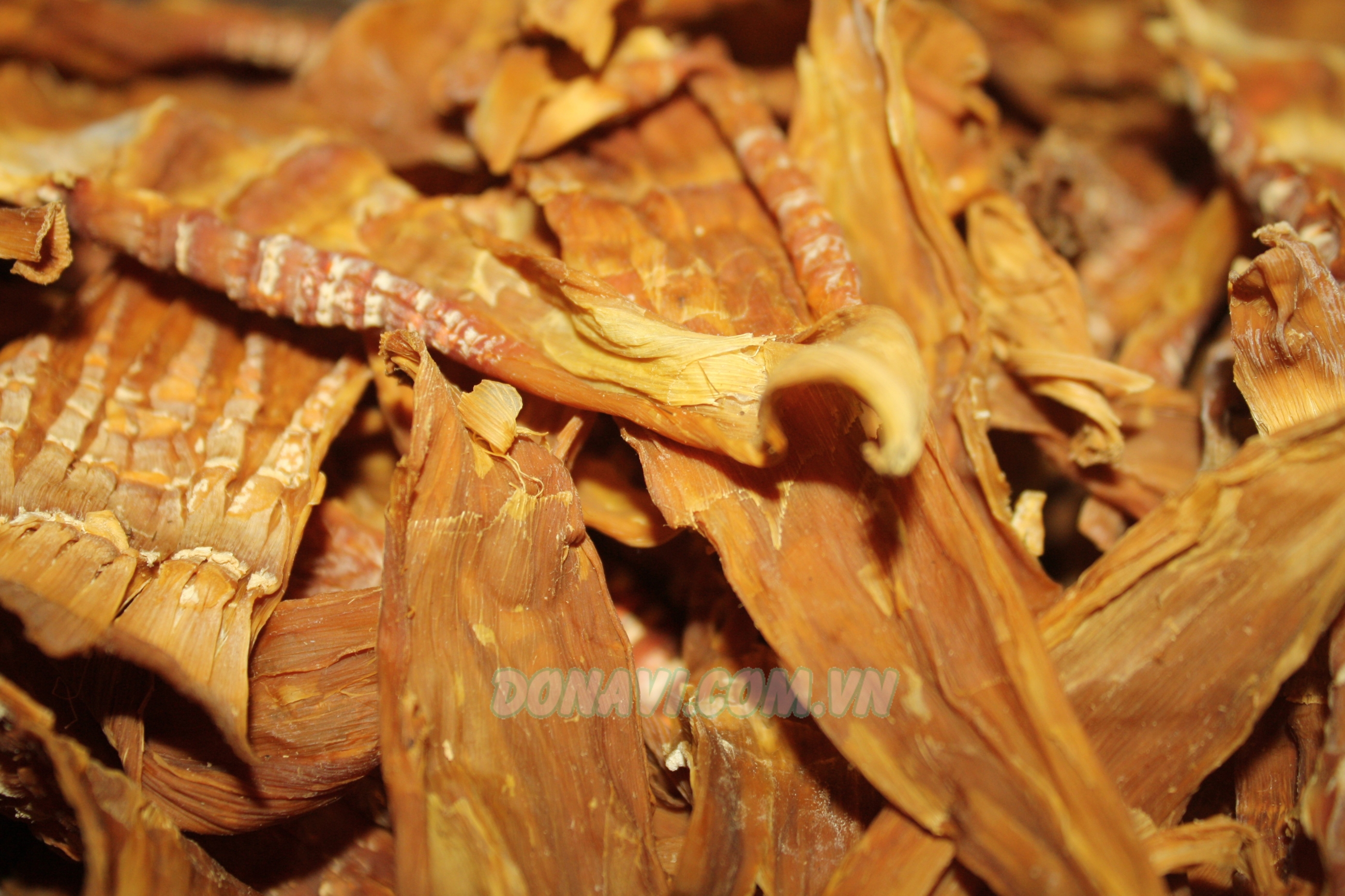 Măng nứa Bắc Kạn