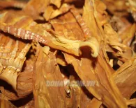 Măng nứa Bắc Kạn