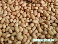Nhân lạc chay non