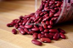 Đậu đỏ hạt to