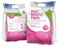 Gạo Hạt ngọc trời Tiên nữ 5kg