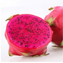 Thanh long ruột đỏ Phú Hội đặc biệt