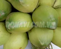 Dừa xiêm Bến Tre