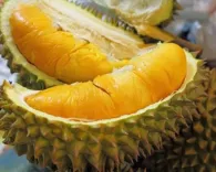Sầu riêng Ri6