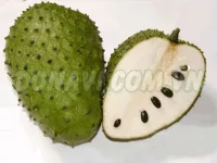 Mãng cầu xiêm