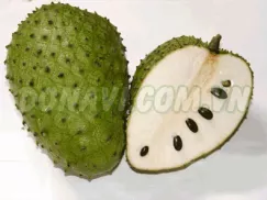 Mãng cầu xiêm