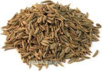 Caraway whole