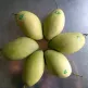 xoai-cao-lanh