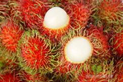 Chôm chôm giống Thái