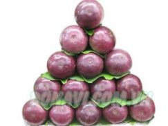 Vú sữa tím lò Rèn