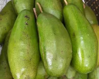 Bơ Trịnh Mười