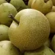 quả-mắc-cọp