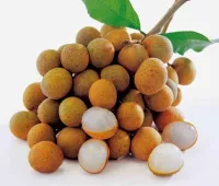 Nhãn siêu ngọt
