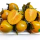 hồng-không-hạt-chợ-đồn