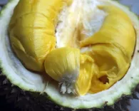 Sầu riêng chín