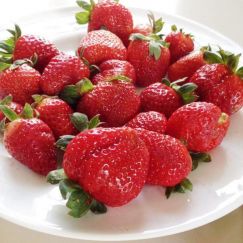 Dâu tây giống Nhật