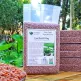 Gạo huyết rồng - 1 kg