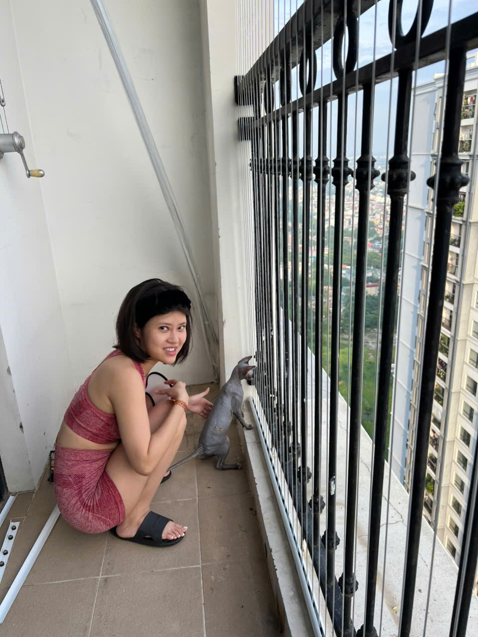 Lưới An Toàn Ngăn Chó Mèo