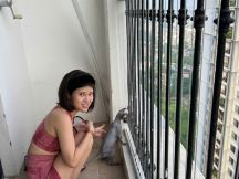 Lưới An Toàn Ngăn Chó Mèo