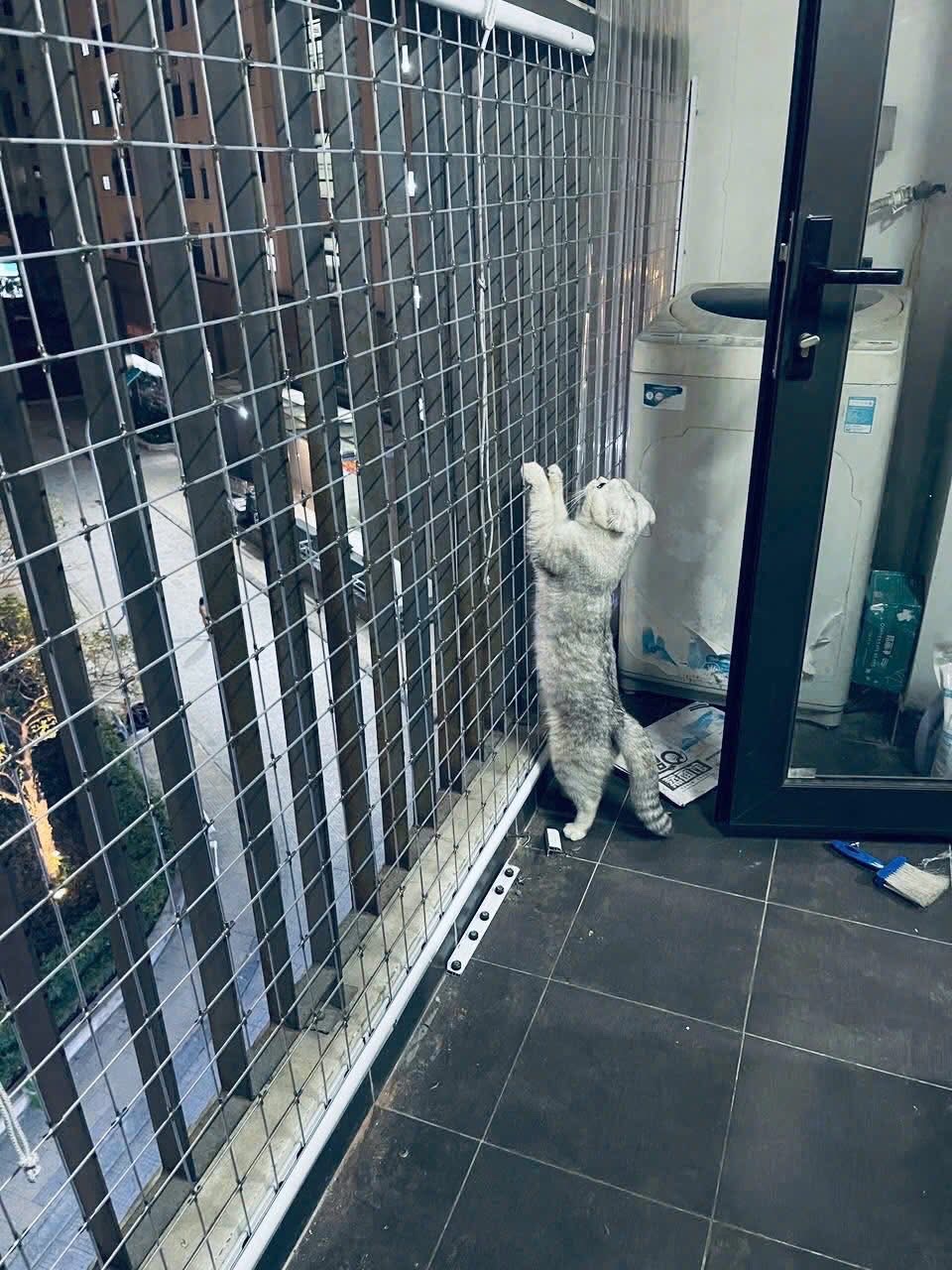 Lưới An Toàn Cho Thú Cưng