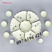 Bộ hoa mặt trời men kem hoa bồ công anh