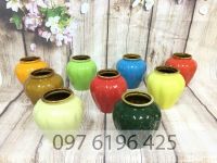 Lu bia, lu sinh tố bằng gốm sứ hình chum ngấn