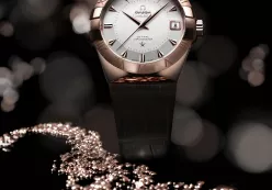Đồng hồ  Casio