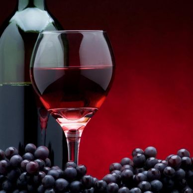 Khám phá quy trình sản xuất rượu vang Chuyên gia rượu. com