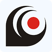 EagleEyes(Lite) cms camera avtech