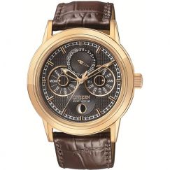 Citizen MS07