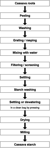 Cassava Starch Production
