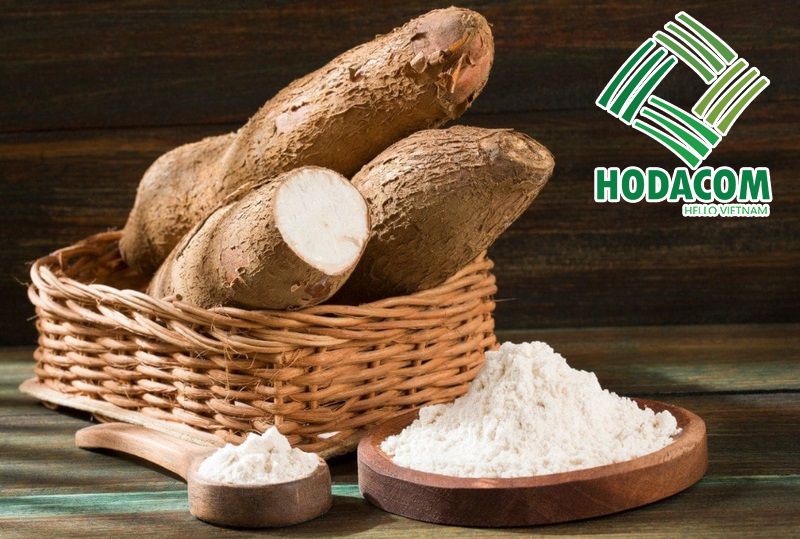 Tinh bột sắn