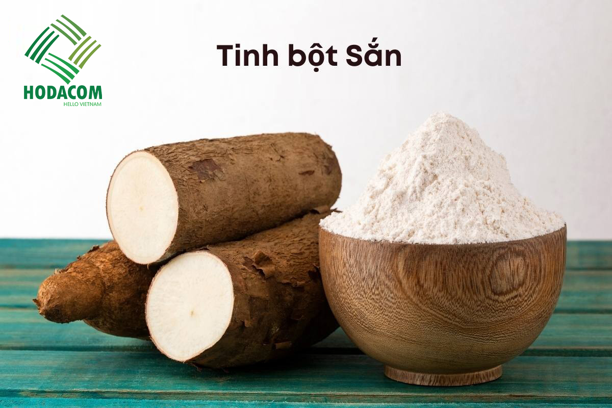 Tinh bột sắn